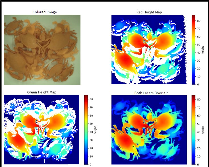 Crab Detection System Image